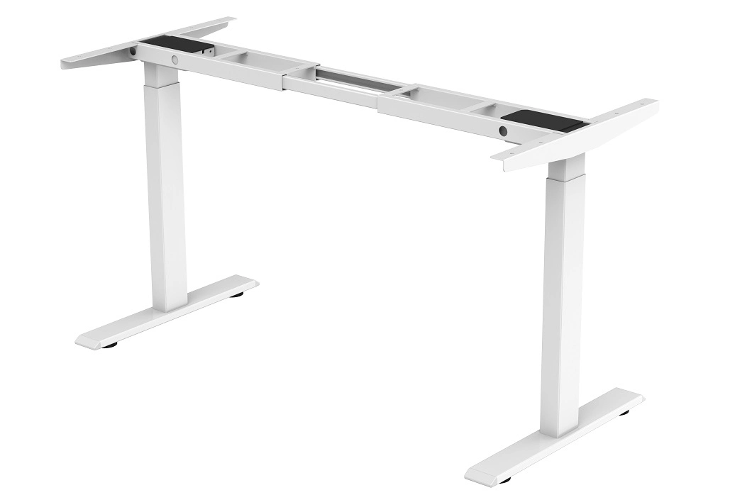Electric Sit Stand Dual Motor Height Adjustable Standing Desk for Office Home Dm-Dcc01